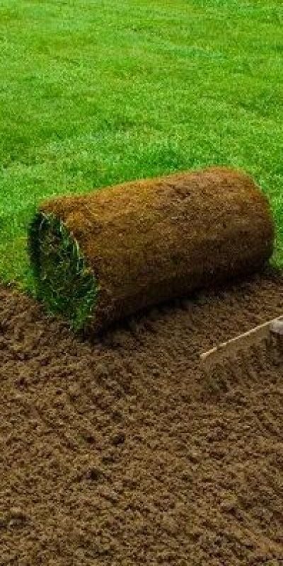 WhatsApp Image 2025-01-29 at 12.33.07 AM